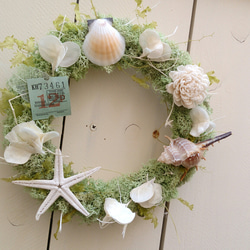 shell moss wreath 1枚目の画像