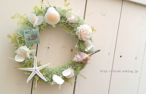 shell moss wreath 2枚目の画像