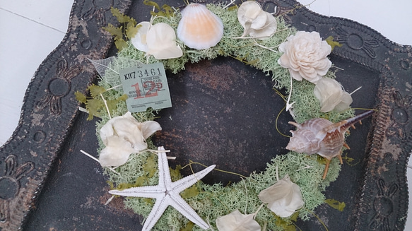 shell moss wreath 3枚目の画像