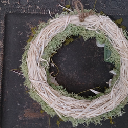 shell moss wreath 4枚目の画像