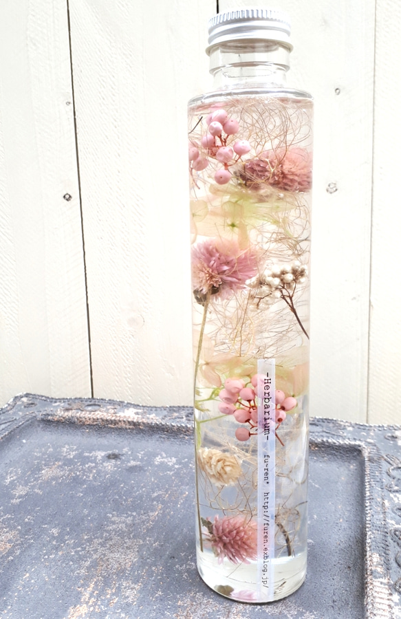 Herbarium -センニチコウ- (white/pink/rose) ・Lsize 5枚目の画像