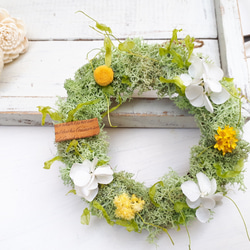 〈再販〉green moss wreath (yellow×white) 4枚目の画像