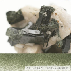 iroha 岩椿 真鍮シンプルケース 6枚目の画像
