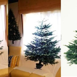 IKEA*イケア*クリスマスツリー＊タペストリーファブリック*北欧 5枚目の画像