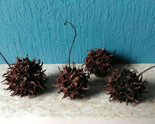 0_5066a99297358fcee060a7e75f1e