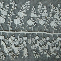 4種類お試しレースセット！ミナペルホネン forest parade.ring flower