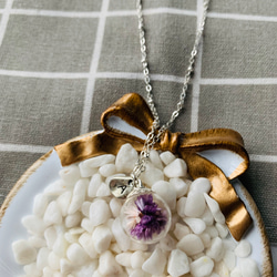 波波球乾燥花頸鍊 / preserved flowers necklace 第5張的照片