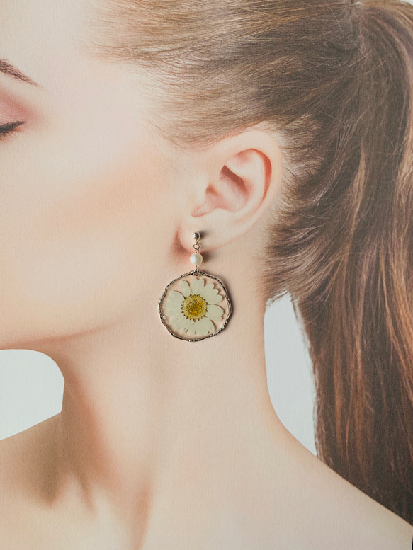 白晶菊純銀防過敏耳環/ preserved flower earrings 第2張的照片