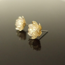 真珠を隠した蓮の花 2枚目の画像