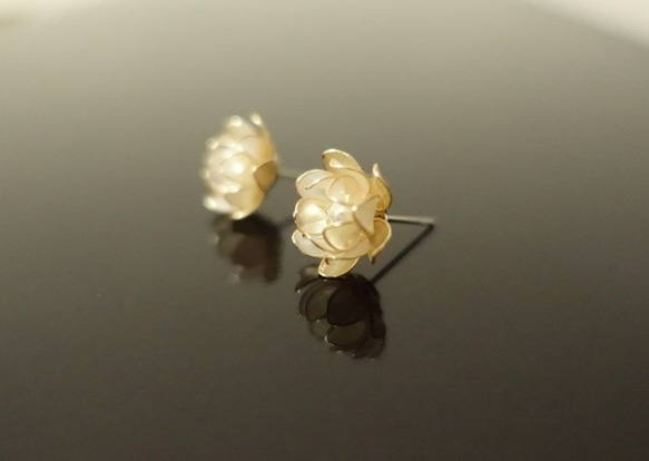 真珠を隠した蓮の花 2枚目の画像