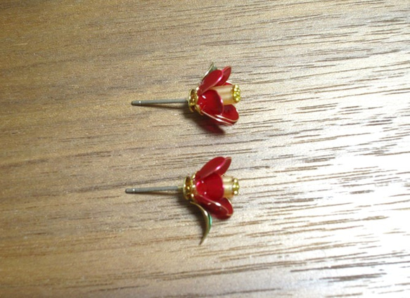 赤椿のピアス 4枚目の画像