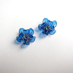 鮮やかな青い蓮の花 3枚目の画像