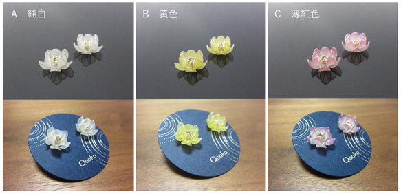 すりガラスのような蓮の花 2枚目の画像