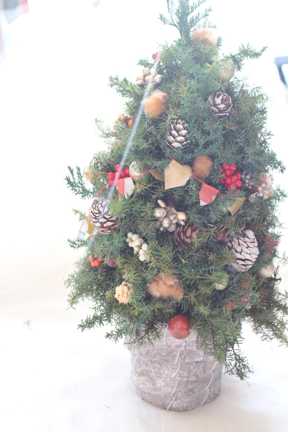 SPICA（スピカ） | MIGRATEUR/ミグラテール 【スピカアンティーク好き