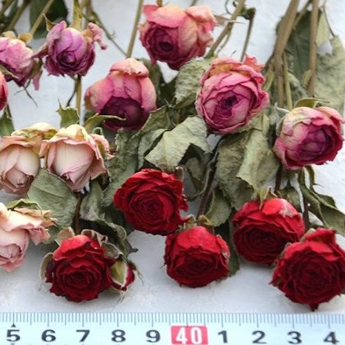 【ご確認用】ドライフラワーꕤ︎︎スプレーバラと小花の流木ガーランド ドライフラワーꕤ︎︎縦長ガーランド・スワッグ ꕤ︎︎スプレー