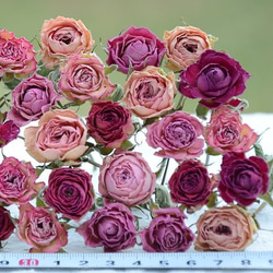 ドライフラワー・スプレーバラ・ピンク系ミックス30輪（その2） その他