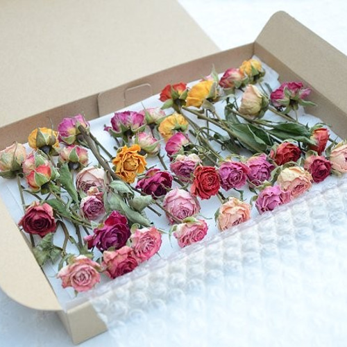 ドライフラワー・スプレーバラ・ミックス40輪 その他素材 LemonGrass