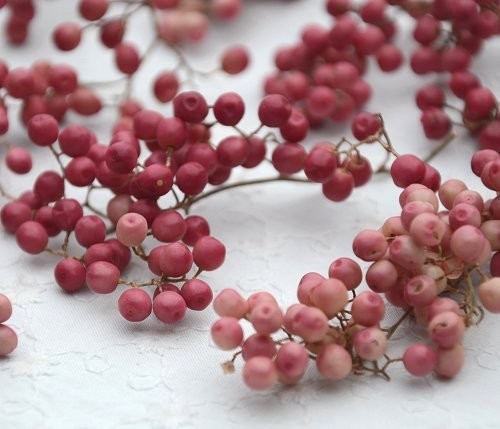 ドライフラワー・ペッパーベリー ピンク（茎無し）20g その他素材