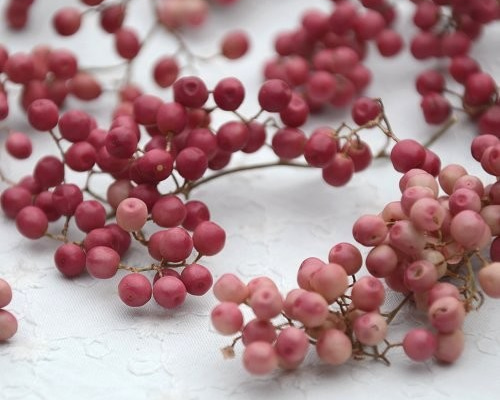 ドライフラワー・ペッパーベリー ピンク（茎無し）20g その他