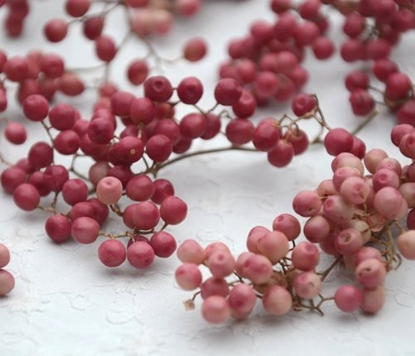 ドライフラワー・ペッパーベリー ピンク（茎無し）20g その他素材
