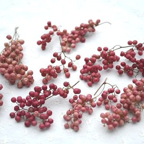 ドライフラワー・ペッパーベリー ピンク（茎無し）20g その他素材