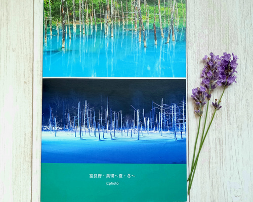 水島海衆、【初夏の美瑛富士】、希少な大判額装用画集より、美品 水島海衆、【初夏の美瑛富士】、希少な大判額装用画集より、美品
