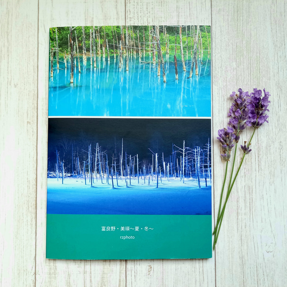 水島海衆、【初夏の美瑛富士】、希少な大判額装用画集より、美品 写真集 富良野・美瑛〜夏と冬〜 ZINE・小冊子 タビソラ 通販