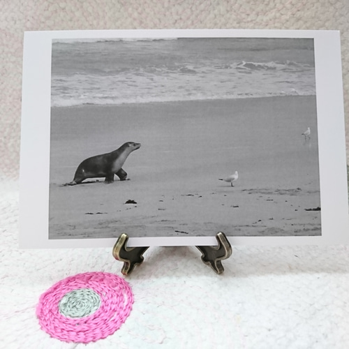 ポストカード アート写真 5枚セット モノクロ・セピア ポスト