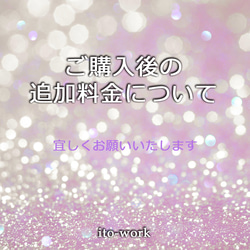 ご購入後の追加料金はこちらでお願いします【300円】