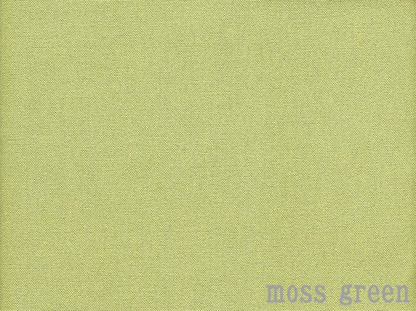 11号帆布 モスグリーン  (＃53 Moss green) 1枚目の画像