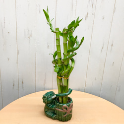 0_d60bf40823d6a4d7b9c8908019c1