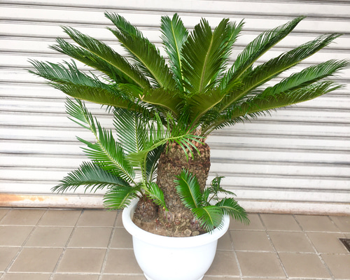 0_f806ac221d8759519d170d819811