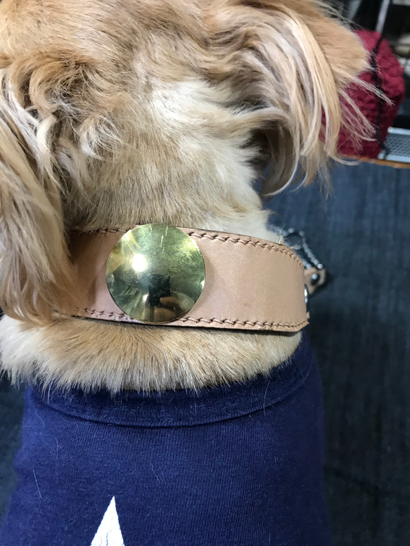 本革レザーハーフチョーク首輪　真鍮コンチョ　小型犬用 4枚目の画像