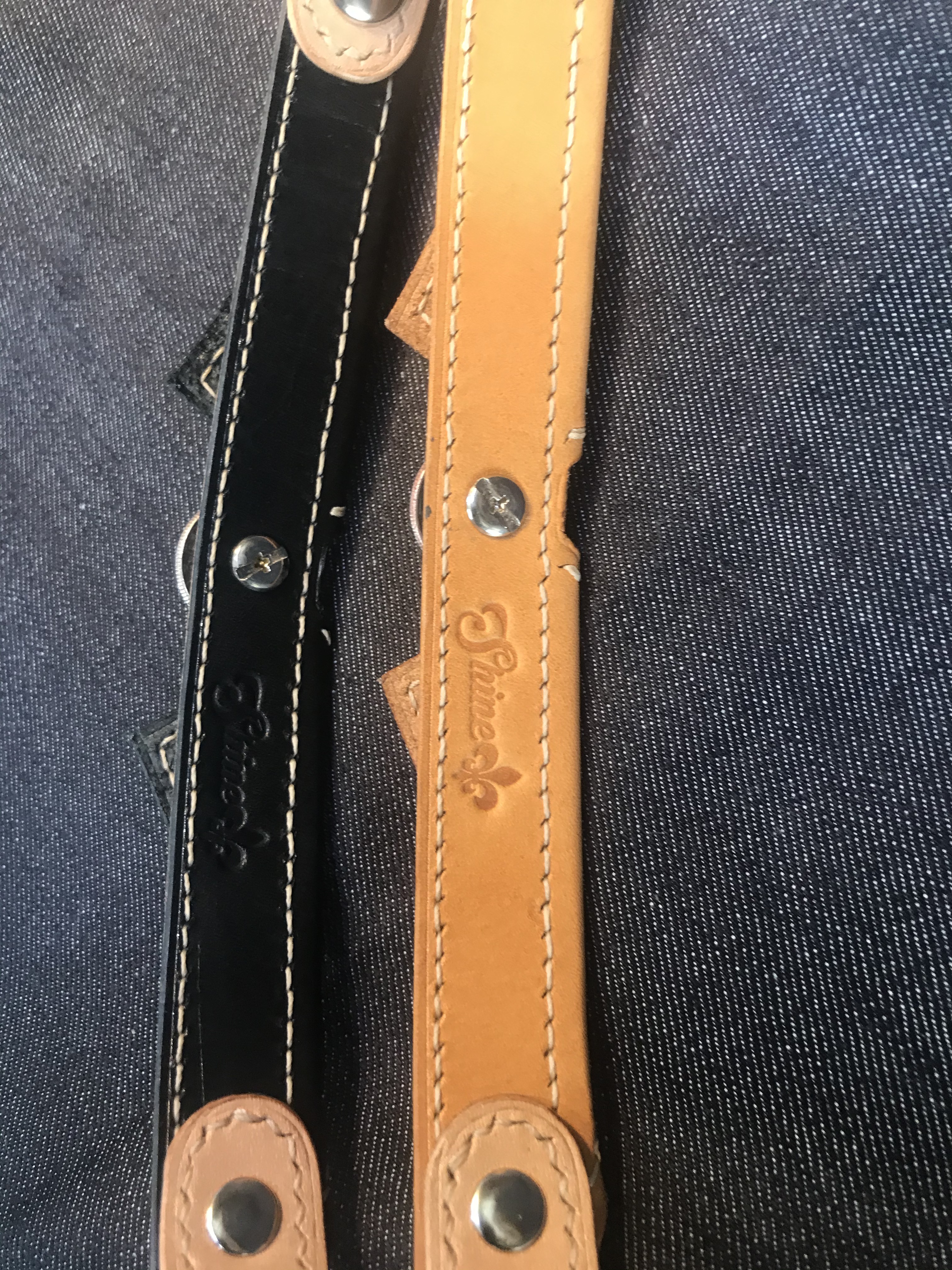 本革レザー首輪　ボタンダウン風ワンタッチ式　小型犬用