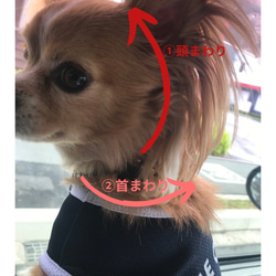 ハーフチョーク小型犬用　栃木レザー×デニム 6枚目の画像