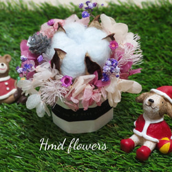【HMD.Flowers】『棉花糖彩紅盆花禮』乾燥花 不凋繡球花 居家裝飾 香氛磚 第3張的照片