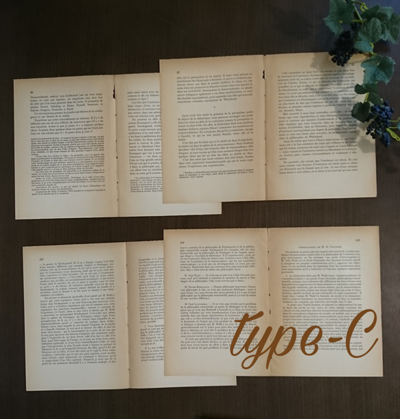 選べる!フランス語・ドイツ語・英語アンティーク洋書ペーパー(英字ペーパー)　　韓国インテリアにも 4枚目の画像