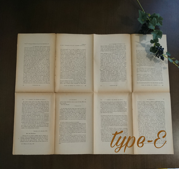選べる!フランス語・ドイツ語・英語アンティーク洋書ペーパー(英字ペーパー)　　韓国インテリアにも 8枚目の画像