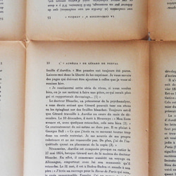 選べる!フランス語・ドイツ語・英語アンティーク洋書ペーパー(英字ペーパー)　　韓国インテリアにも 9枚目の画像