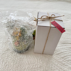 お花畑のようなガラスドームアレンジ　北海道花材　プリザーブドフラワー　インテリア　母の日プレゼント 10枚目の画像