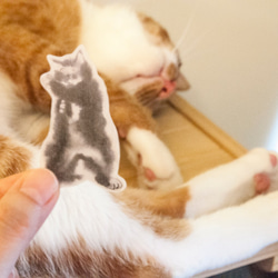 水墨貓咪和紙貼紙 - 功夫貓 第2張的照片