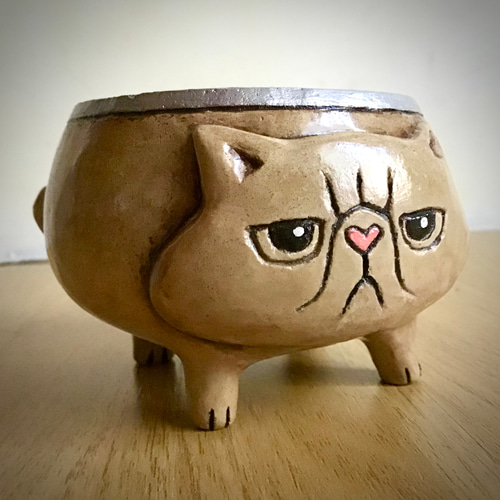 ふんばりネコ 小物入れ 小鉢 エキゾチックショートヘア その他