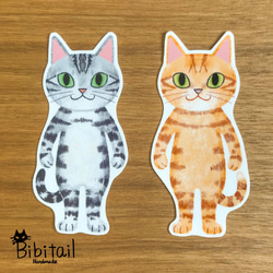 猫イラスト アメリカンショートヘア＆茶トラ・耐水ステッカー2枚