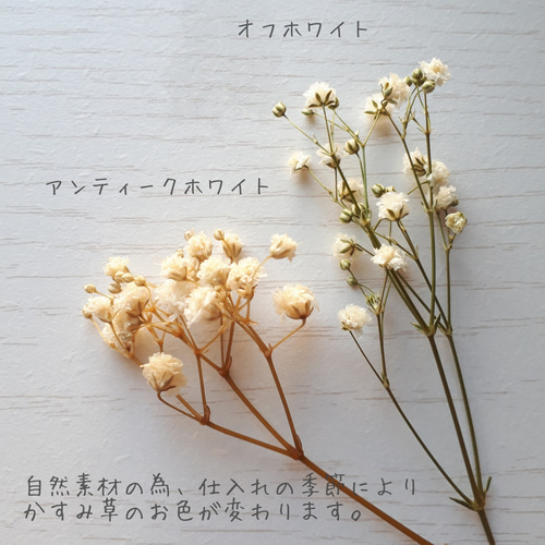 かすみ草と小枝のナチュラルブーケ ピアス/イヤリング ピアス（フック