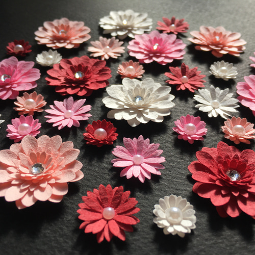 F-49 押し花｜バラ花びら（赤・クリーム） 送料込み | BLOOM MAISON