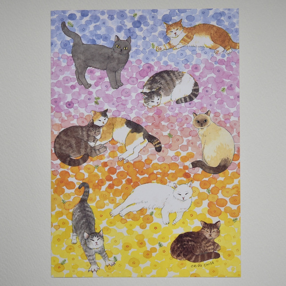 レターセット　猫と花畑 4枚目の画像