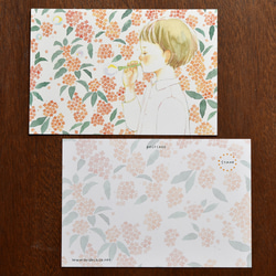 ポストカード 4枚セット 人物と植物のイラスト 4枚目の画像