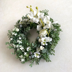 デンファレと白い小花のリース　玄関　ご結婚祝い　記念日　プレゼント　インテリア 7枚目の画像