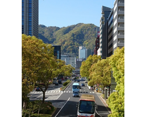 【コロー】風景画 ゴールドフレーム セーブルの田舎道 複製 日本写真印刷株式会社 ゴールドフレームの油絵風景画セット (もっちゃん) 小岩の