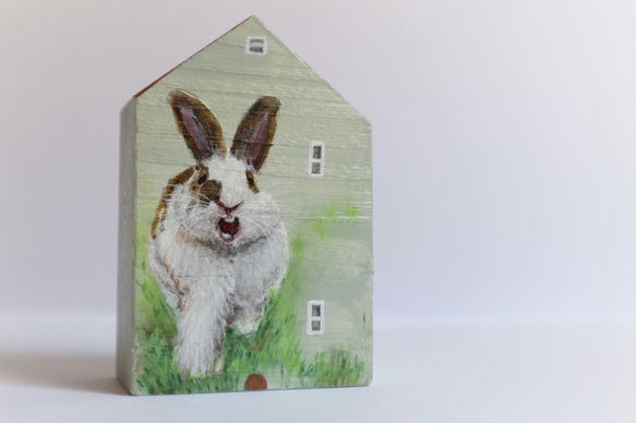手繪小房子｜兔兔打哈欠 |  咖啡色屋頂綠房子 第3張的照片
